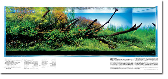 New Photo book by Takashi Amano | AmanoTakashi.net